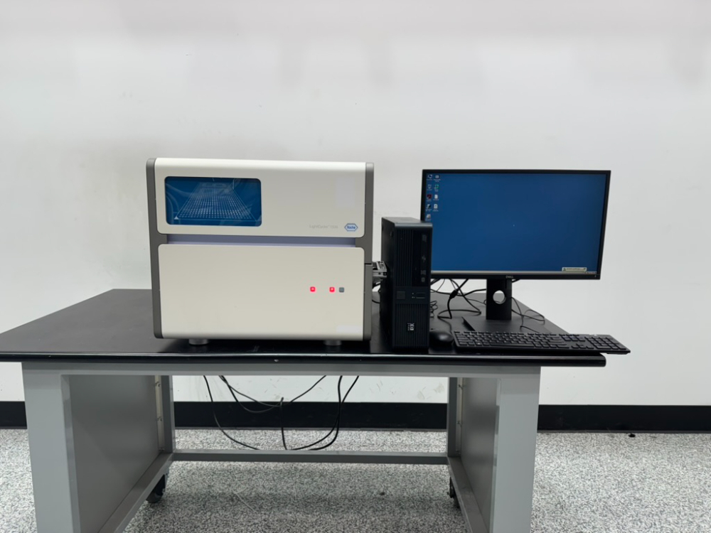 Image of Roche 1536 Multiwell Plate Real-Time